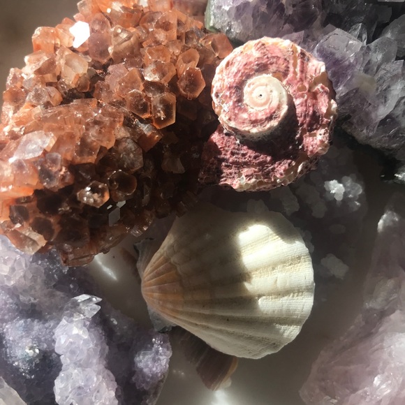 Meet your Posher, Alyssia - Picture 4 of 6